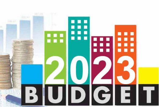 Budget FY24 has visionary steps to spur growth and employment